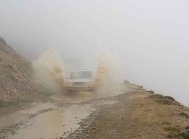 vive la emocion de la mejor conduccion